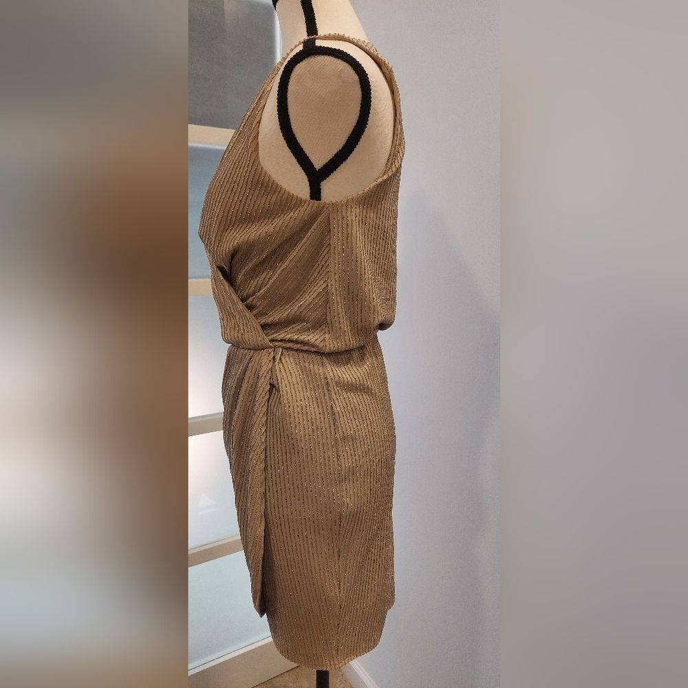 Silver Asymmetrical Plunge Neck Mini Dress - Picture 4 of 7